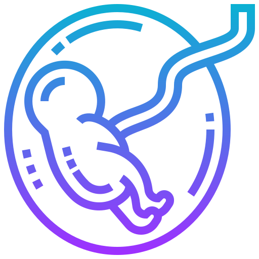 fetus_1877794