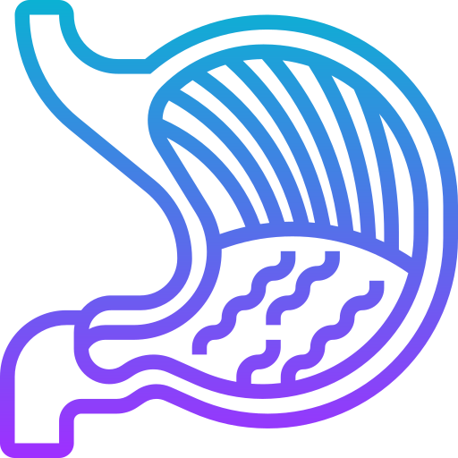 stomach_7909103